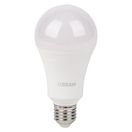 696808 Светодиодная лампа LVCLA300 30SW/865 230VFR E27 FS1 OSRAM, .