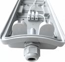 Светильник под LED-лампы ДСП 12-2х18-001 УХЛ1 IP65, РБ. Код ОКРБ 007-2012: 27.40.25