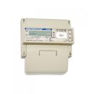 Счетчик электрической энергии 3ф СЕ 301 BY R33 146 JAVZ, Пр-е изг-ль ООО ФЗИП "Энергомера", РБ,