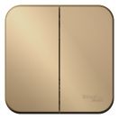 Выключатель 2-кл. ОП Blanca 10А IP20 (сх. 5) 250В с изолир. пластиной титан SE BLNVA105014,