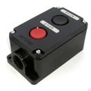 Пост кнопочный ПКЕ 222-2 IP54 TDM SQ0742-0011, Ввезен из РФ